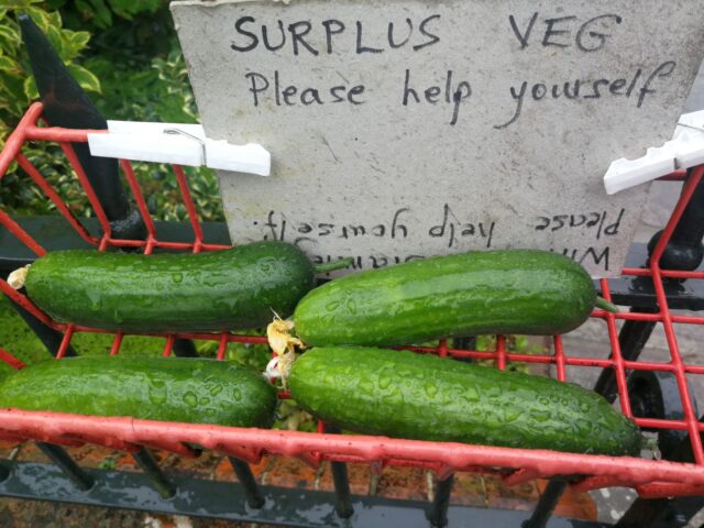 For some reason free cucumbers seemed to meet the White Star event photo brief